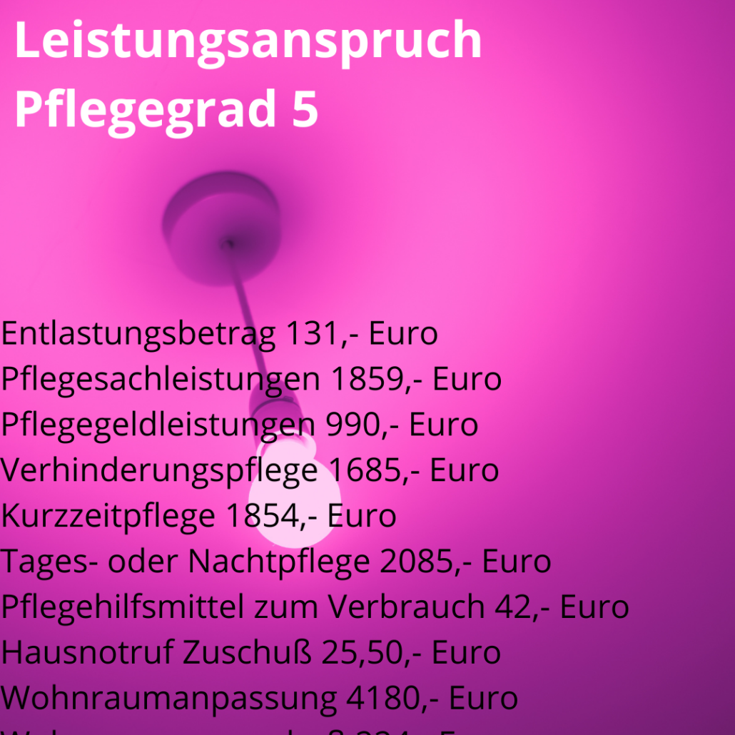 Pflegeleistungen 2025