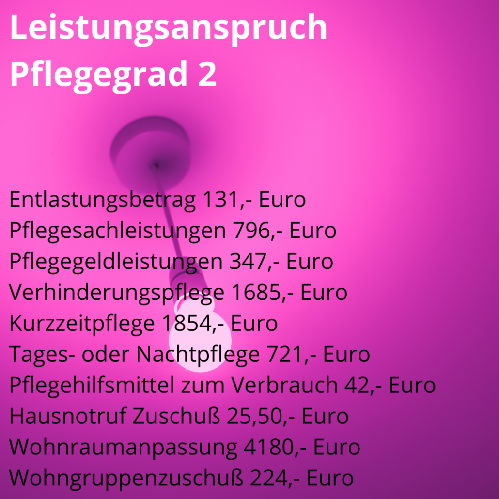 Pflegeleistungen 2025