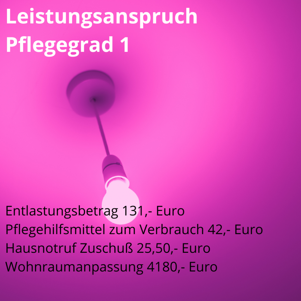 Pflegeleistungen 2025