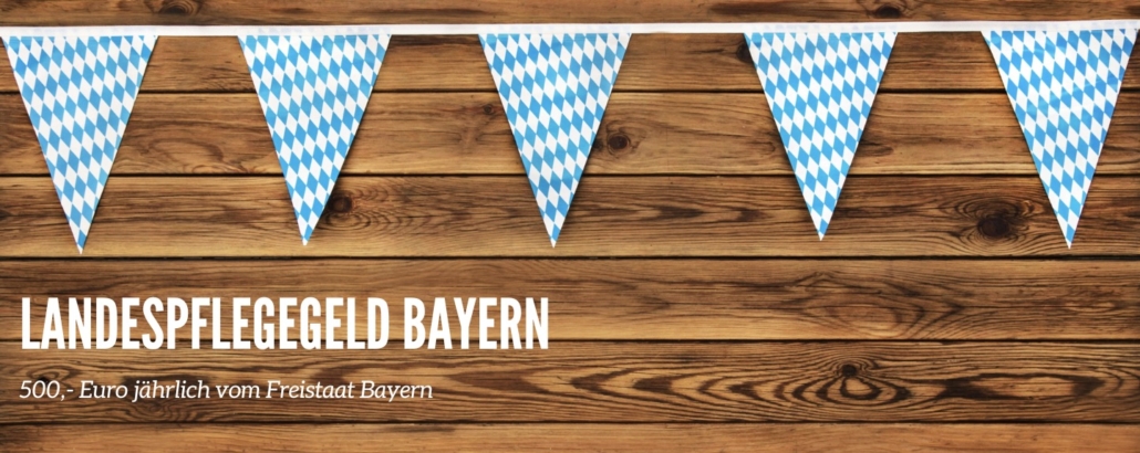 Landespflegegeld Bayern 2026